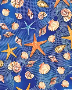 an image of seashells and starfish on blue mesh