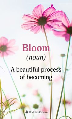 pink flowers with the words bloom non a beautiful process of becoming