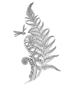 a black and white drawing of a plant with a dragonfly on it's back