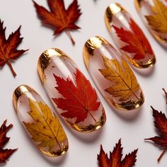 Capture the beauty of autumn with hyper-realistic pressed leaves and shimmering gold foil embedded in a glossy gel polish. This unique fall nail design brings the warmth of Thanksgiving right to your fingertips. Gold Foil Nails, Fall Nail Design, Thanksgiving Nail Art, Thanksgiving Nail, Pressed Leaves, Unique Fall, Thanksgiving Nails, Fall Nail Art, Foil Nails