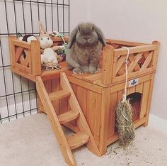 a rabbit sitting on top of a wooden crate