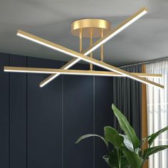 a living room with a potted plant on the floor and a ceiling light above it