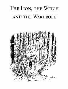 the lion, the witch and the wardrobe is shown in this book cover art work