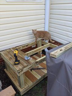 a cat standing on top of a wooden box