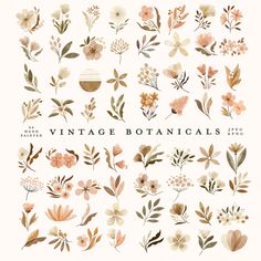 the vintage botanicals collection is shown in various colors and sizes, including pink flowers