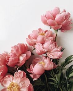 some pink flowers are in a vase on a white table top with green leaves and stems