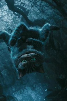 #timburton #aliceinwonderland #cheshirecat Alice Wallpaper, Cheshire Cat Wallpaper, Cheshire Cat Art, Wallpaper Gatos, Cheshire Cat Alice In Wonderland, Dark Alice In Wonderland, Wonderland Artwork, Alice In Wonderland Aesthetic, Tim Burton Films