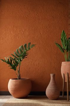 there are two vases with plants in them on the floor next to each other