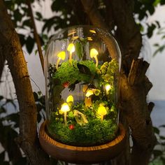 a glass jar filled with moss and lit candles on top of a wooden stand next to a tree