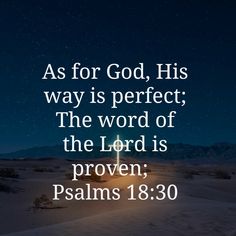 the words as for god, his way is perfect the word of the lord is proven