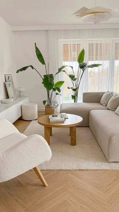 a living room filled with furniture and a large plant in the middle of the room