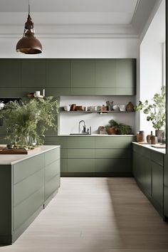 a kitchen with green cabinets and white counter tops, potted plants on the island