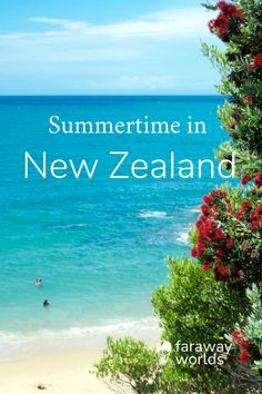 a beach with the words summertime in new zealand on it and people swimming in the water