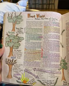 a hand holding an open bible with trees on it