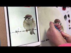 a person is taking pictures of two birds on a phone and another bird sitting on a wire