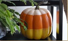 an orange and white pumpkin sitting on top of a shelf next to a potted plant