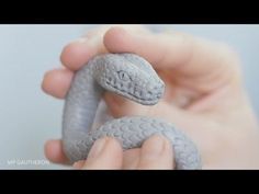 a person holding a small gray snake in their hand