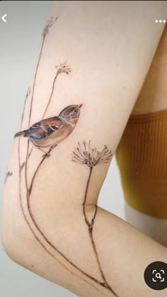 a bird sitting on top of a plant next to a woman's arm and leg