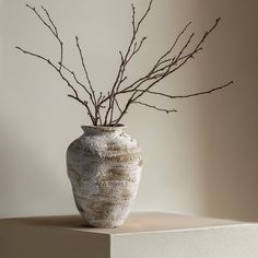 a vase with branches in it sitting on a shelf