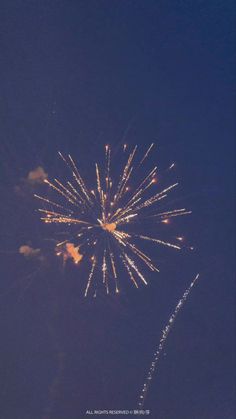 fireworks are lit up in the night sky