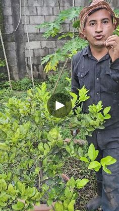 a man standing next to a bush with green leaves on it and looking at the camera