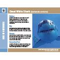 a close up of a brochure with an image of a shark