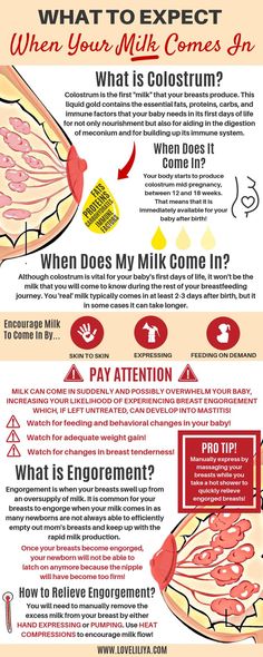 the benefits of milk for dogs and cats infographical poster with instructions on how to use it