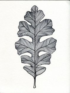 a black and white drawing of a leaf