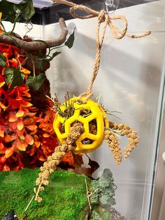 a yellow object hanging from a rope on top of a green moss covered rock with red and orange flowers in the background