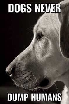 a black and white photo of a dog with the words dogs never dump humans