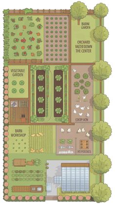 a garden plan with lots of trees and plants