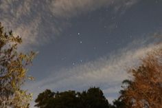 the night sky is full of stars and clouds above some trees in the foreground