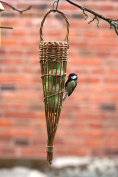 a bird sitting on top of a hanging basket