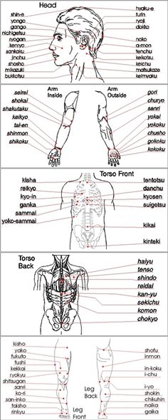 the muscles and their functions are labeled in this diagram, which shows how they work