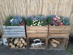 three wooden crates filled with flowers and logs