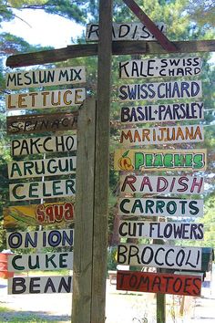 a wooden pole with many different signs on it's sides and trees in the background