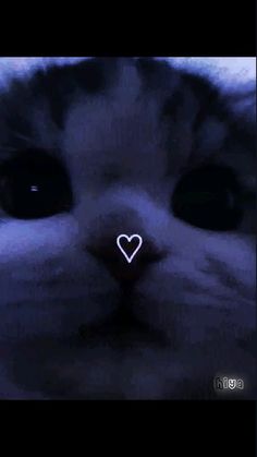 a close up of a cat's face with a heart on it