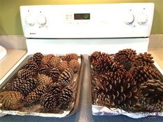 two pans filled with pine cones sitting on top of a counter next to an oven