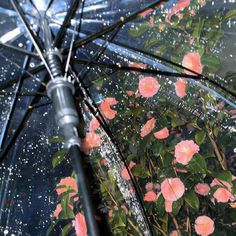 an open umbrella with pink flowers on the outside and rain drops falling down on it