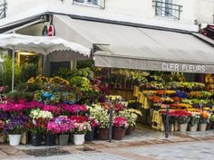 an outdoor flower shop with lots of colorful flowers