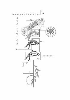 the diagram shows an animal and its surroundings, as well as other things that can be seen