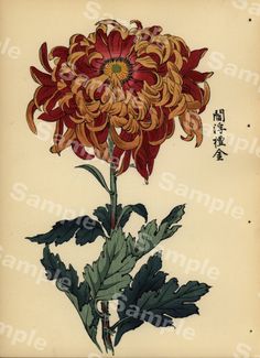 an illustration of a large flower with leaves