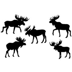 four moose silhouettes are shown against a white background