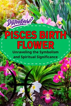 Pisces Birth Flower Pisces Sign, Green Hues, Spiritual Journey