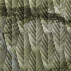 the shadow of trees in front of a rock wall