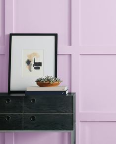 a black dresser with a potted plant on top and a framed photograph above it