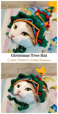 two pictures of a cat wearing a christmas tree hat