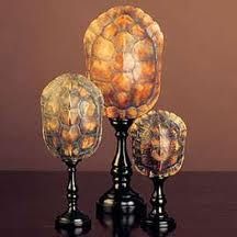 three glass vases sitting on top of a table