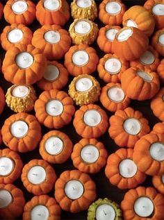 pumpkins and candles are arranged in rows