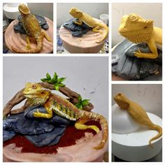 there are four pictures of different types of animals on the same cake, and one has a lizard on it